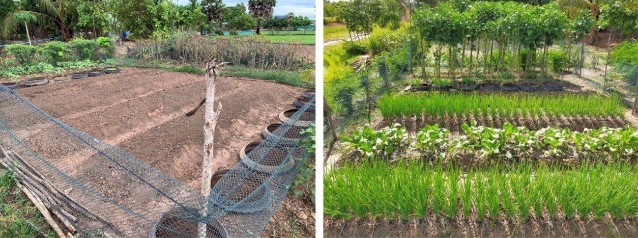 同じ場所BEFORE/AFTER：一念発起して空き地を耕し、ゼロから菜園にした事例