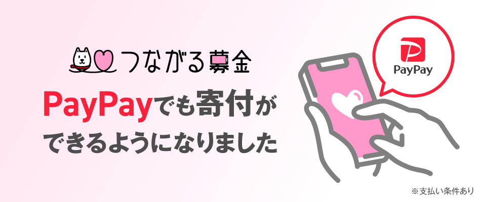 b42a8d8025fe0ae300d6c952cd7ac2d4-1742869825.png