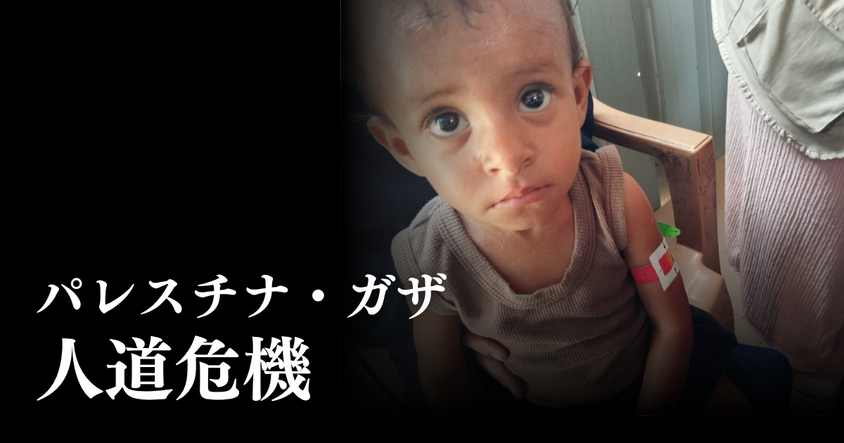 パレスチナ・ガザ人道危機へのご寄付のお願い｜日本国際ボランティア